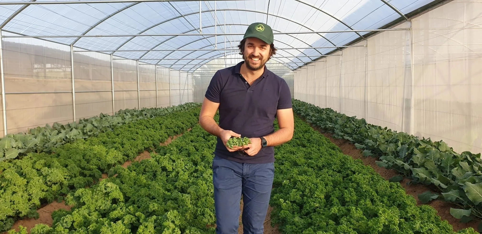 Farmer in greenhouse