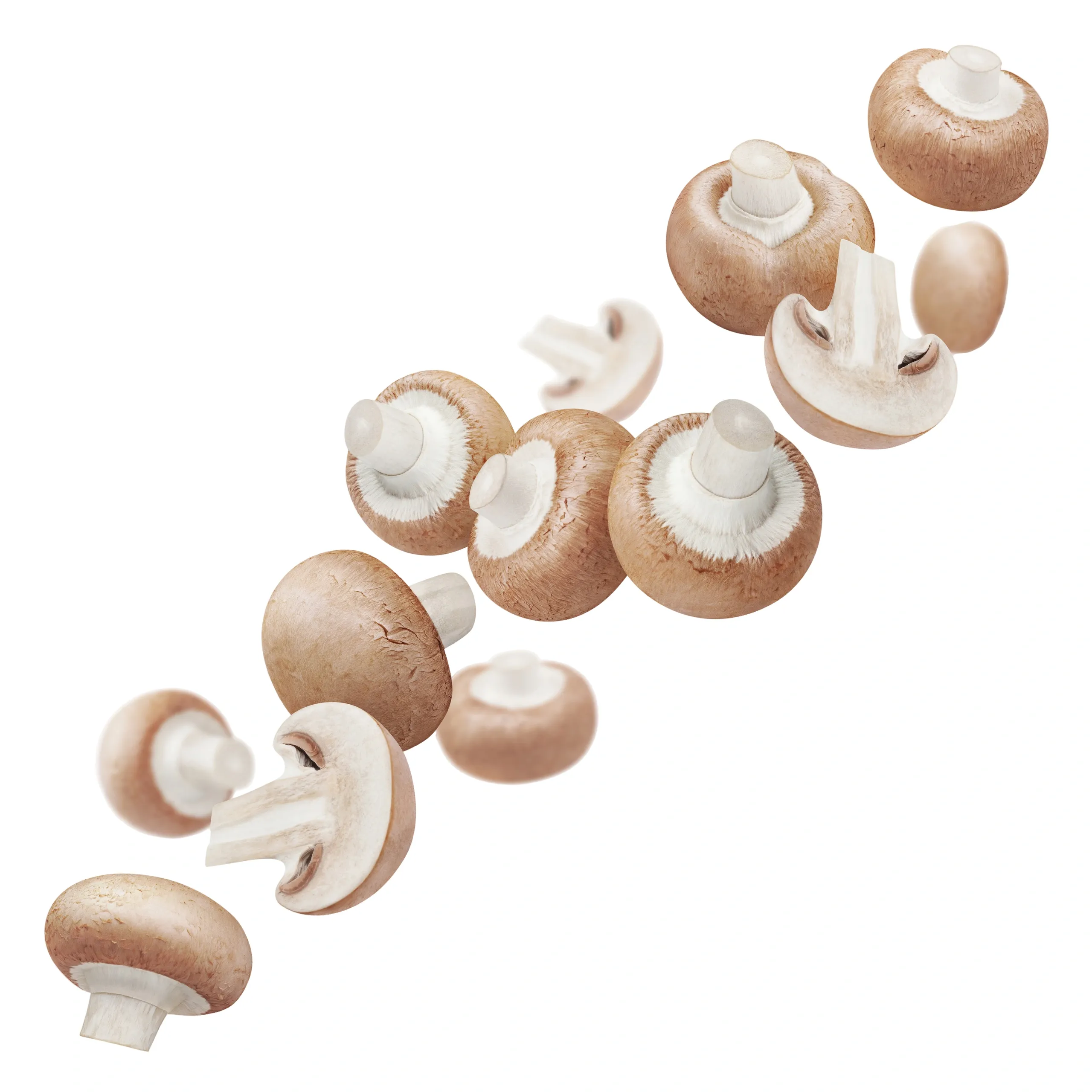 Portobello Mushroom